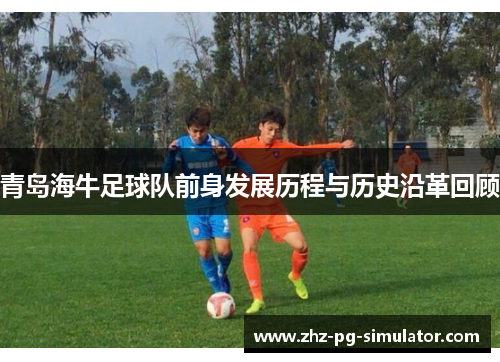 青岛海牛足球队前身发展历程与历史沿革回顾 青岛海牛足球队前身发展历程与历史沿革回顾